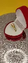 IMG_20231103_195208.webp