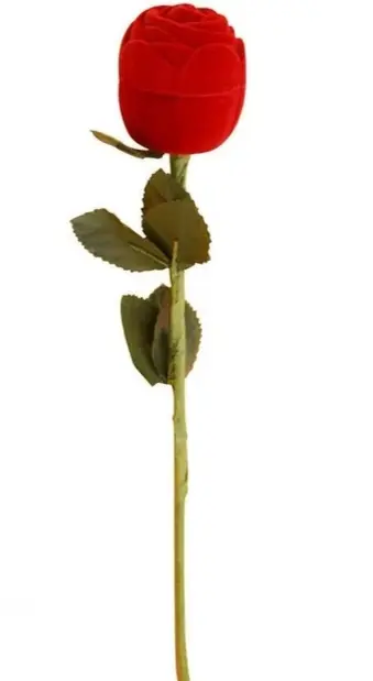 IMG_20230808_193438.webp