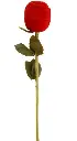 IMG_20230808_193438.webp